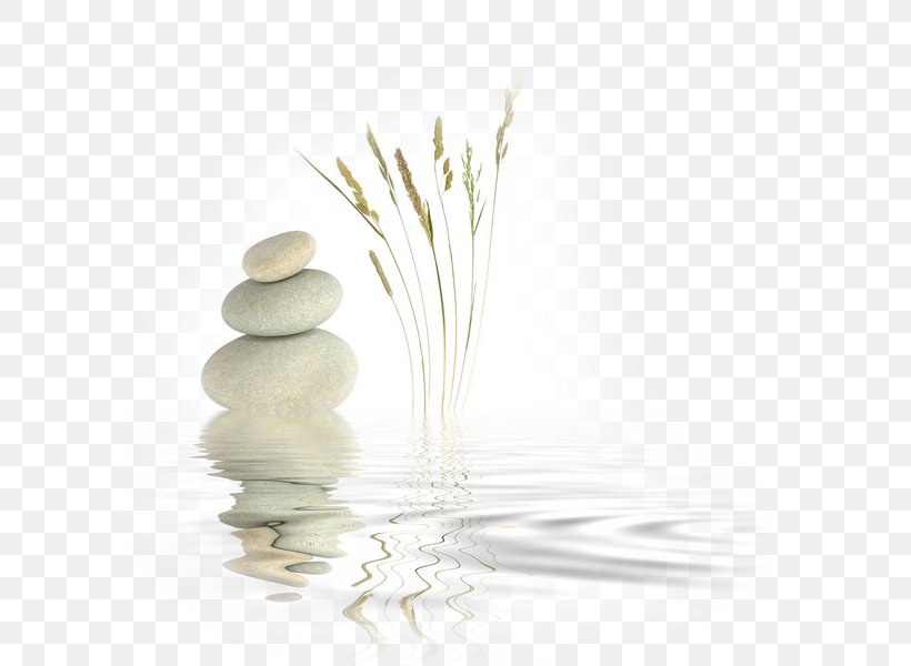 Zen Master Meditation Religion Mindfulness, PNG, 600x600px, Zen, Alternative Medicine, Buddhism, Grass, Grass Family Download Free