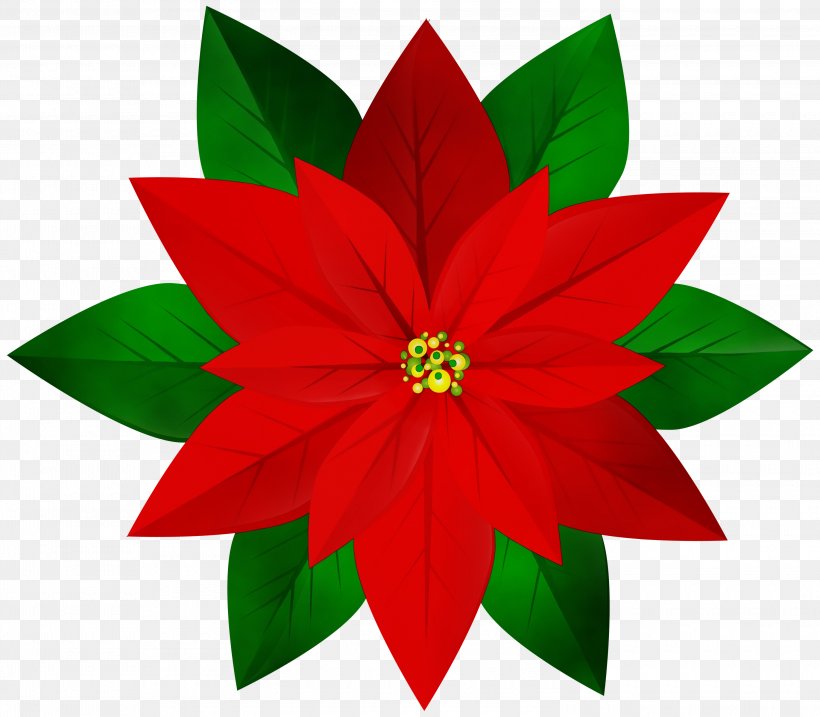Christmas Poinsettia, PNG, 3000x2626px, Watercolor, Blog, Botany, Christmas Day, Flower Download Free