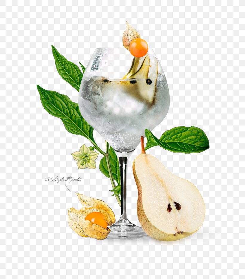 Cocktail Garnish Chinese Lantern Flavor, PNG, 660x934px, Cocktail Garnish, Chinese Lantern, Cocktail, Drink, Flavor Download Free