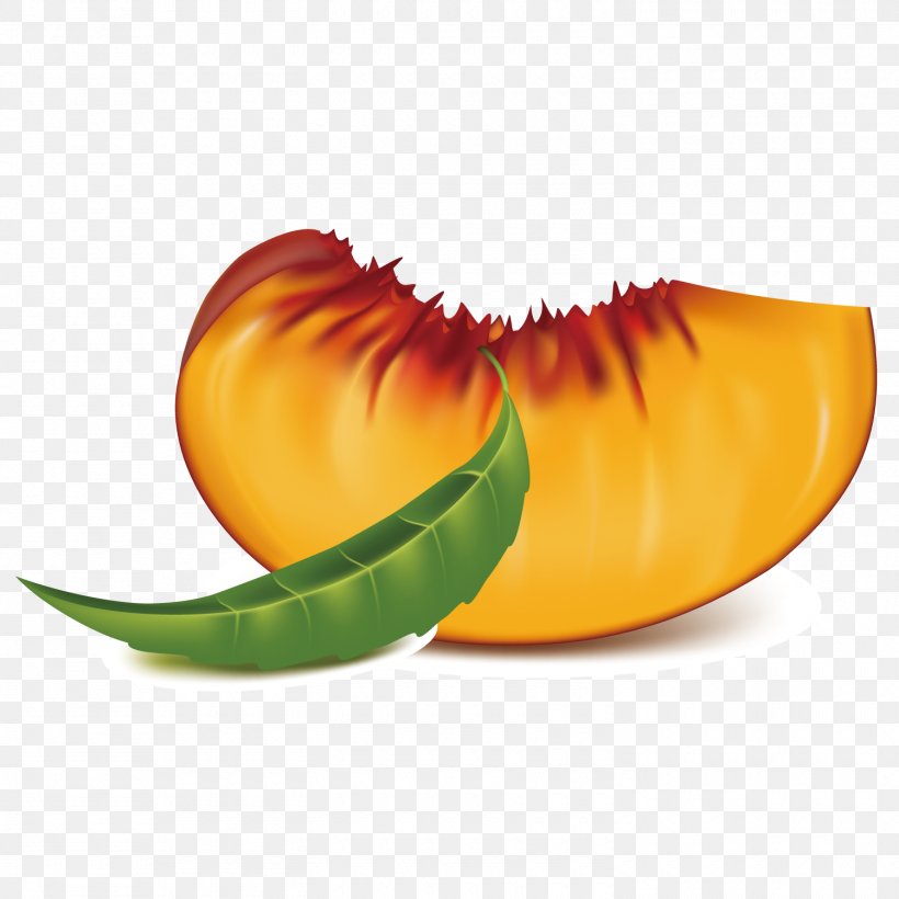 Peach Aviation Petal, PNG, 1500x1500px, Peach, Calabaza, Food, Fruit, Leaf Download Free