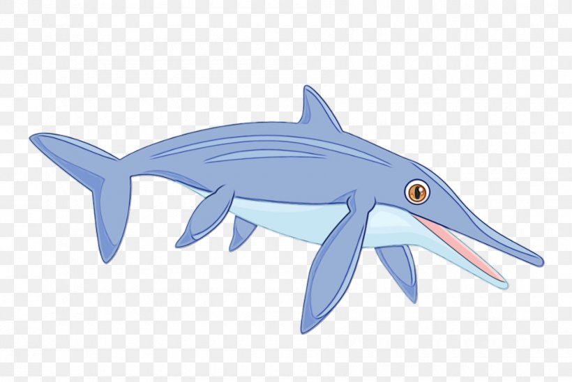 Shark, PNG, 1800x1204px, Watercolor, Animal Figure, Cetacea, Cretoxyrhina, Fin Download Free