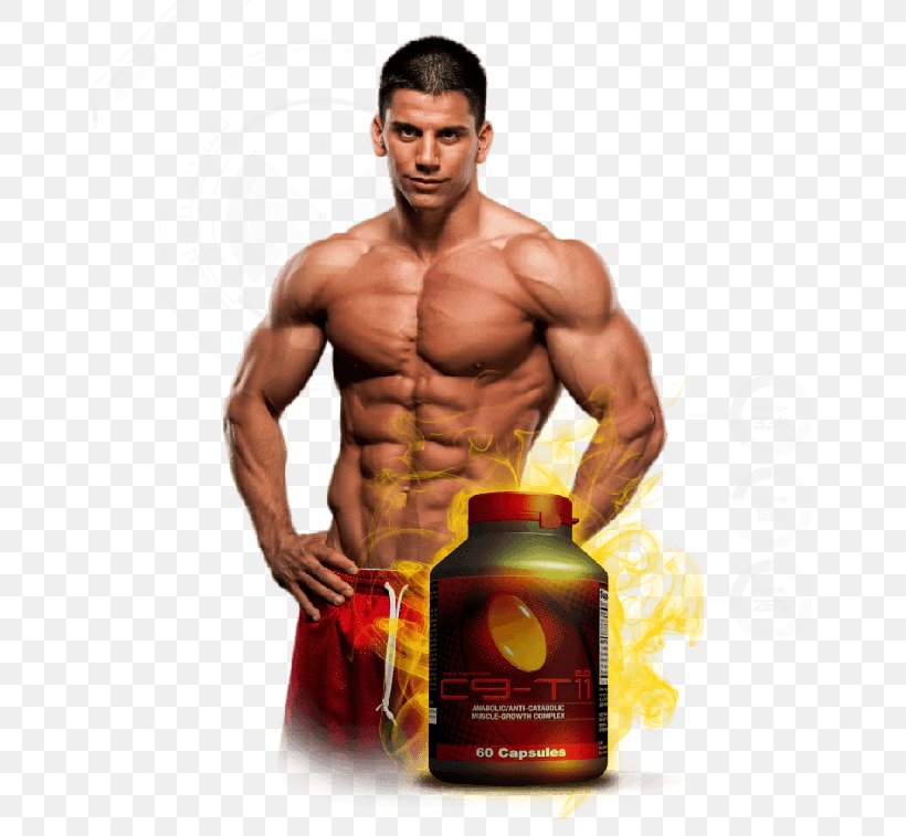 Bodybuilding Supplement Sports Training Physical Fitness Vascularity, PNG, 653x757px, Watercolor, Cartoon, Flower, Frame, Heart Download Free