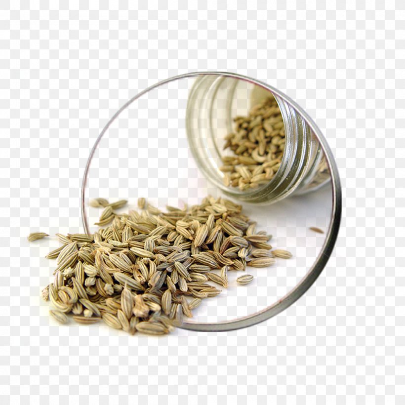 Fennel Herb Seed Indian Cuisine Fenugreek, PNG, 1000x1000px, Fennel, Ajwain, Apiaceae, Asafoetida, Bloating Download Free
