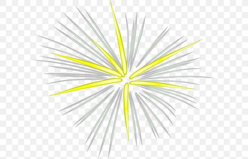 Fireworks Animation Clip Art, PNG, 600x527px, Fireworks, Animation, Computer, Firecracker, Flora Download Free