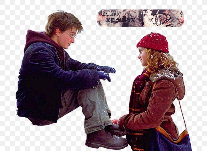 Garrï Potter Hermione Granger Harry Potter And The Prisoner Of Azkaban Ron Weasley Harry Potter And The Philosopher's Stone, PNG, 800x600px, Hermione Granger, Daniel Radcliffe, Emma Watson, Harry Potter, Harry Potter Literary Series Download Free