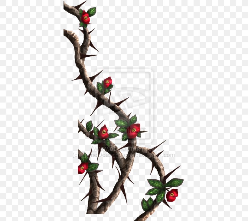 Thorns, Spines, And Prickles Rose Vine Drawing Clip Art, PNG, 400x733px, Thorns Spines And Prickles, Aquifoliaceae, Aquifoliales, Art, Blue Rose Download Free