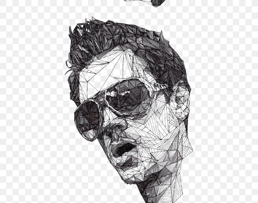 Drawing Portrait Triangulation Art Illustration, PNG, 433x645px, Drawing, Art, Artist, Black And White, Bone Download Free