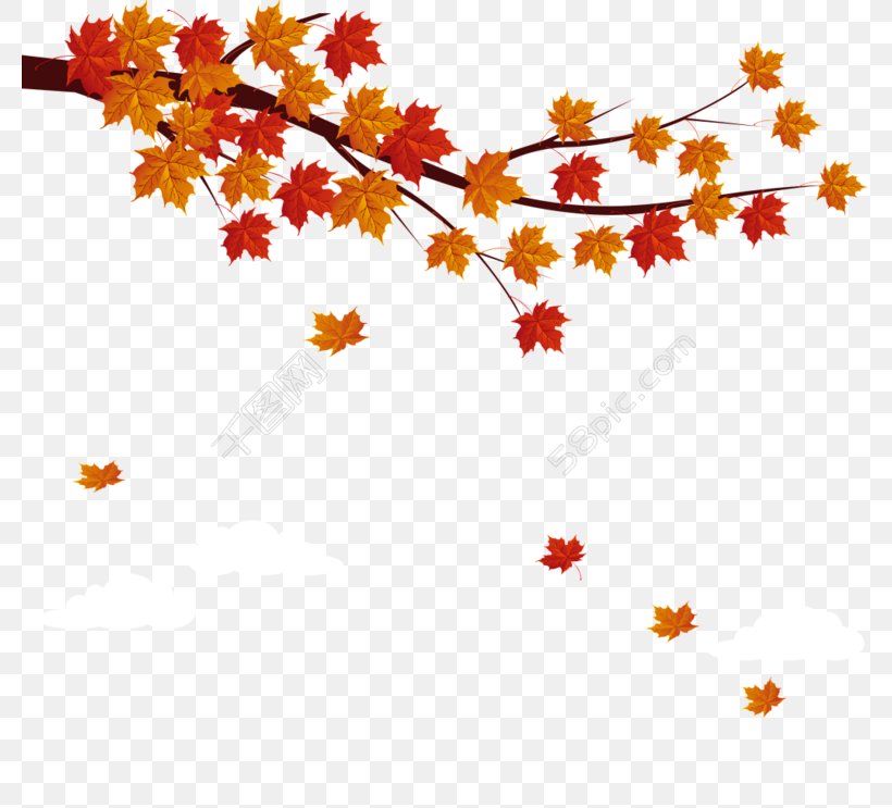 Vector Graphics Image Autumn Clip Art, PNG, 780x743px, Autumn, Autumn Leaf Color, Branch, Cartoon, Flower Download Free