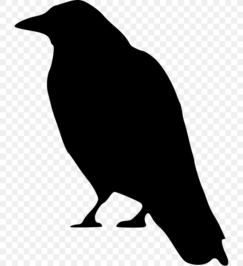 Crow Clip Art, PNG, 721x900px, Crow, Art, Artwork, Beak, Bird Download Free