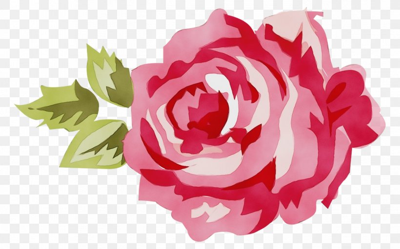 Garden Roses, PNG, 1368x855px, Watercolor, Cut Flowers, Flower, Garden Roses, Hybrid Tea Rose Download Free