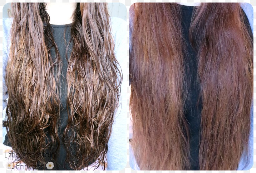 Long Hair Brown Hair Hair Coloring Black Hair, PNG, 1600x1088px, Long Hair, Black, Black Hair, Brand, Brown Download Free