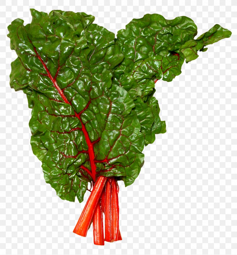 Chard Vegetable Health Beetroot, PNG, 1138x1224px, Chard, Beetroot, Beta, Carrot, Flowerpot Download Free