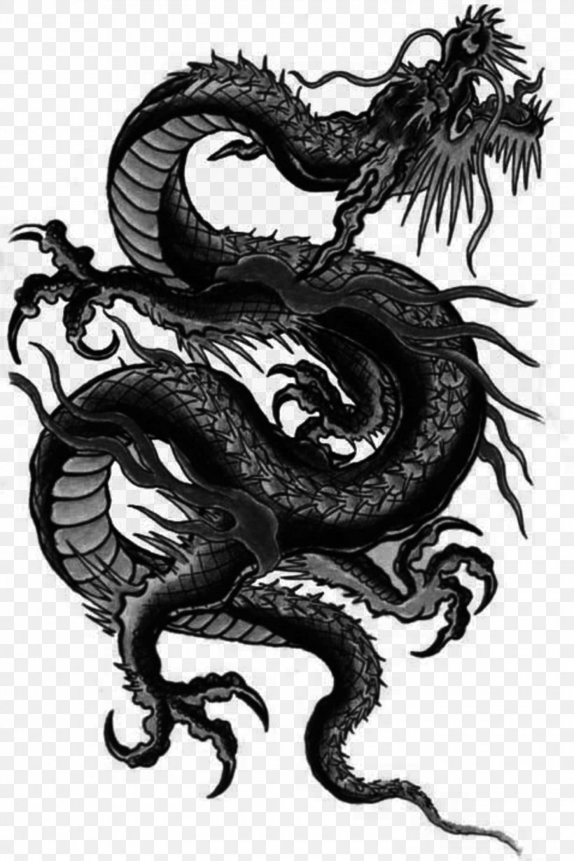 China Chinese Dragon Japanese Dragon Tianlong, PNG, 3000x4500px, China, Abziehtattoo, Art, Black And White, Chinese Dragon Download Free