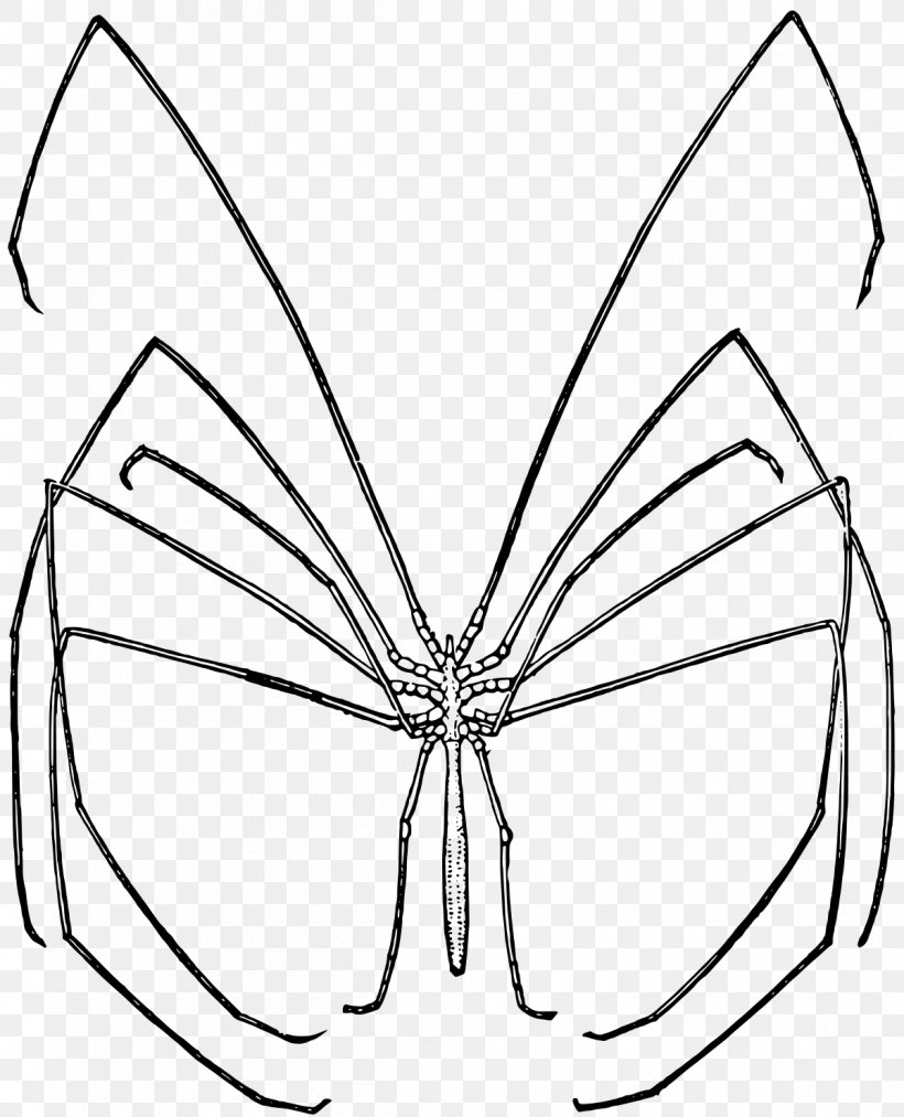 Spider Colossendeis Colossendeidae Arthropod Clip Art, PNG, 1200x1483px, Spider, Area, Arthropod, Artwork, Biology Download Free