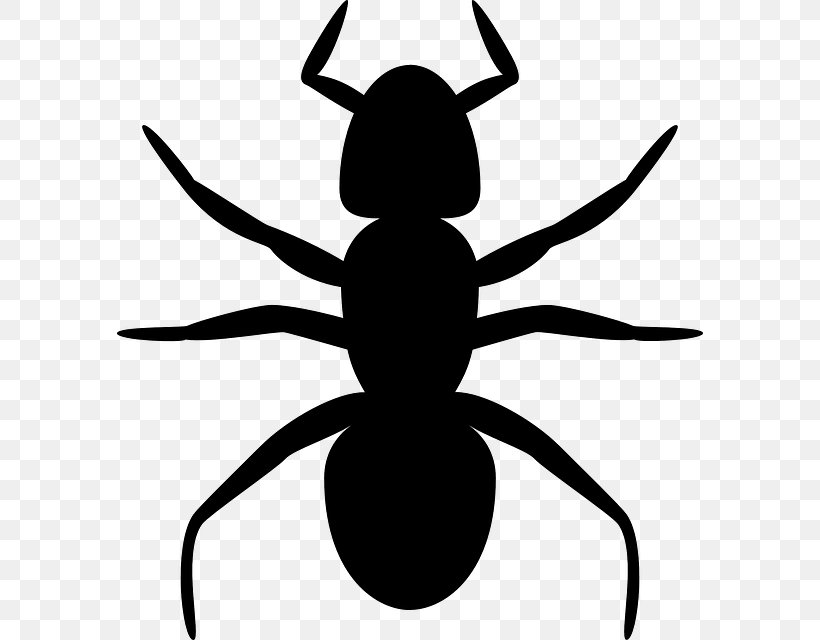Ant Clip Art Vector Graphics Openclipart, PNG, 586x640px, Ant, Arachnid, Arthropod, Insect, Invertebrate Download Free
