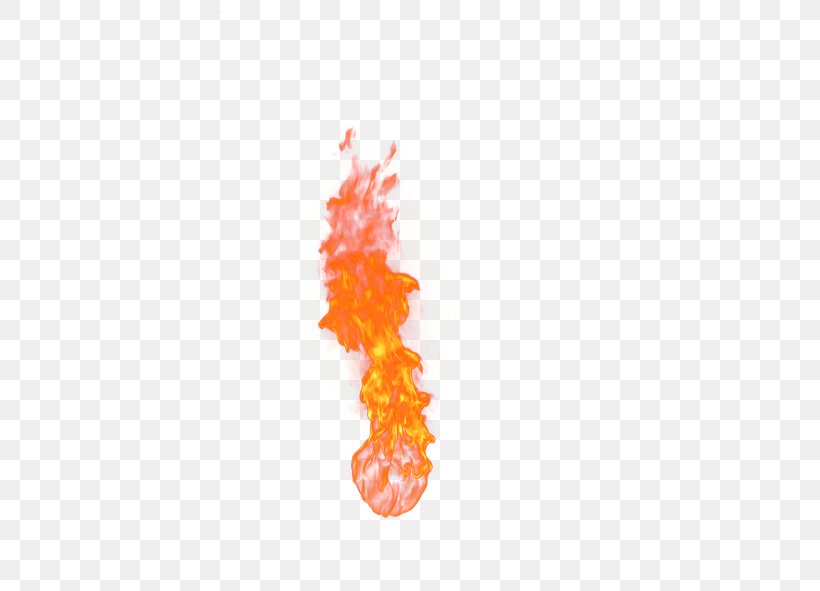 Fire Flame Software, PNG, 591x591px, Fire, Animation, Flame, Orange, Photography Download Free