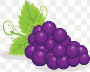 Vitis Leaf - Grape Fruit Grapevine Family Seedless Fruit Purple PNG