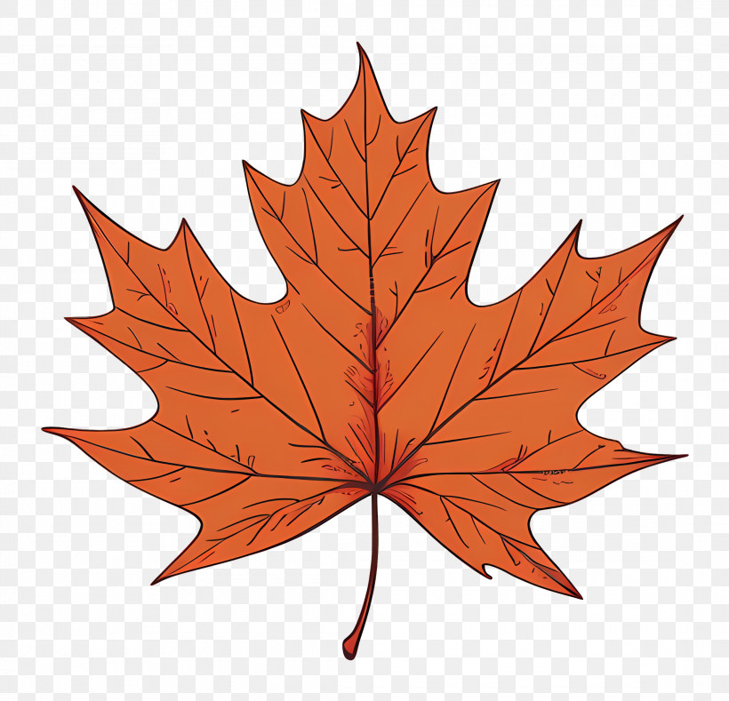 Maple Leaf - Orange Maple Leaf Illustration For Autumn PNG