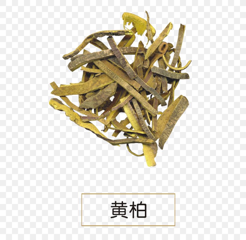 Phellodendron Amurense Phellodendron Chinense Dietary Supplement Huáng Bǎi Extract, PNG, 800x800px, Phellodendron Amurense, Bark, Berberine, Brass, Dietary Supplement Download Free