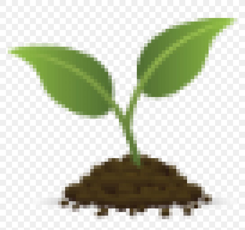 Seedling Garden Agriculture Clip Art, PNG, 768x768px, Seed, Agriculture, Bonsai, Cucurbits, Energy Download Free