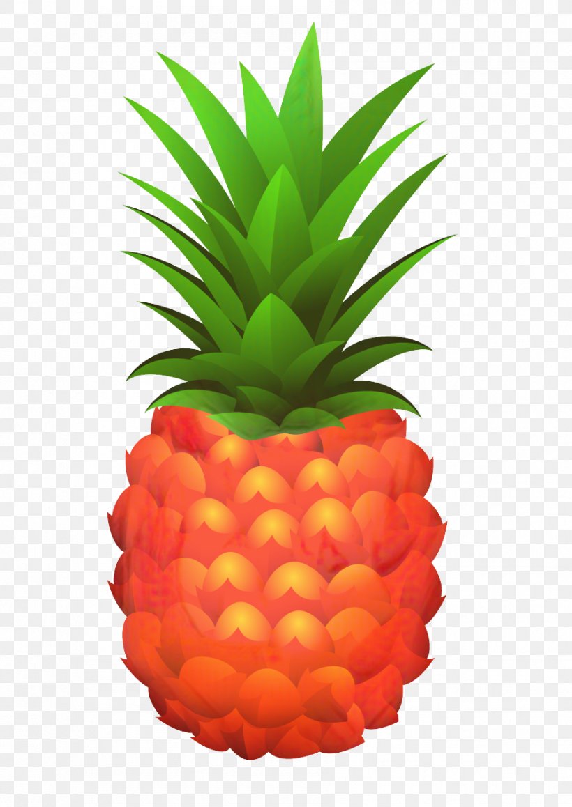 Pineapple Juice Pineapple Juice Vector Graphics Clip Art, PNG, 893x1262px, Pineapple, Accessory Fruit, Ananas, Bromeliaceae, Drawing Download Free