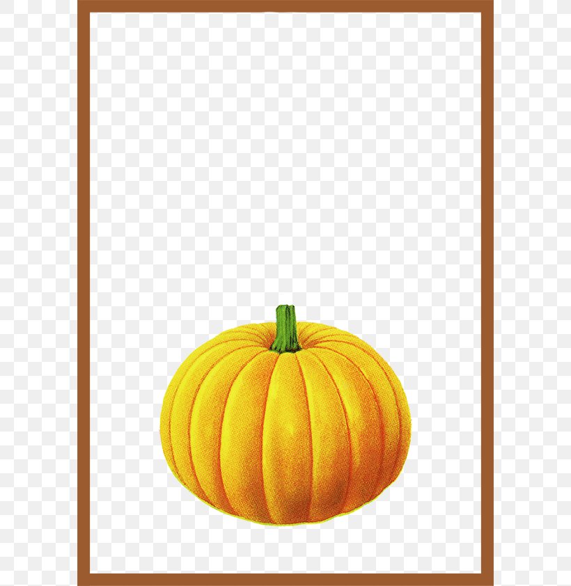 Pumpkin Calabaza Brown, PNG, 598x842px, Pumpkin, Brown, Calabaza, Cucurbita, Designer Download Free