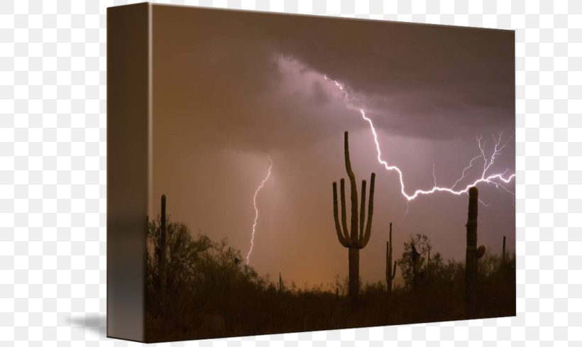 Sonoran Desert Lightning Southwestern United States Thunderstorm, PNG, 650x489px, Sonoran Desert, Arizona, Art, Desert, Energy Download Free