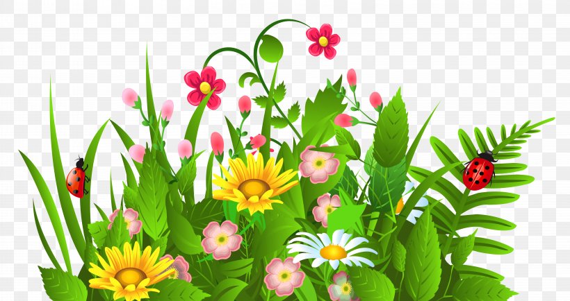 Flower Clip Art, PNG, 6287x3328px, Flower, Cdr, Cut Flowers, Daisy, Daisy Family Download Free