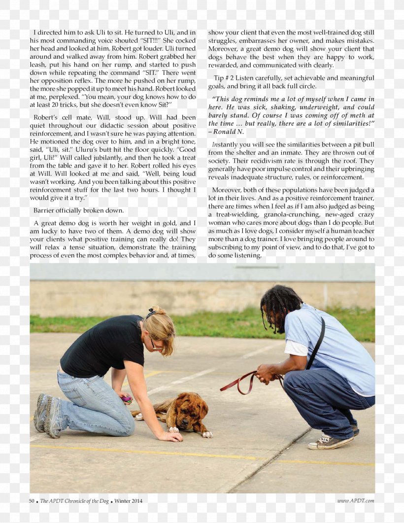 Dog Obedience Training Obedience Trial News, PNG, 2550x3300px, Dog, Dog Like Mammal, Joint, Mammal, News Download Free