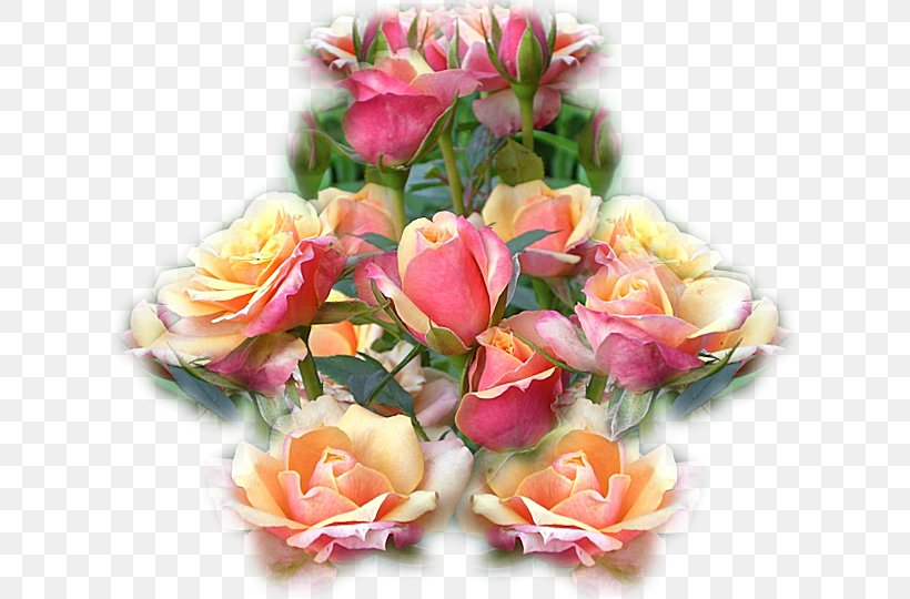 Garden Roses Cabbage Rose Cut Flowers Floral Design, PNG, 720x540px, Garden Roses, Artificial Flower, Cabbage Rose, Common Sunflower, Cut Flowers Download Free