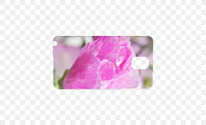 Pink M, PNG, 500x500px, Pink M, Flower, Magenta, Petal, Pink Download Free