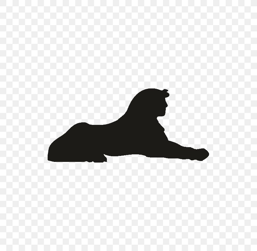 Wall Decal Sticker Vinyl Group, PNG, 800x800px, Wall Decal, Big Cats, Black, Black And White, Carnivoran Download Free
