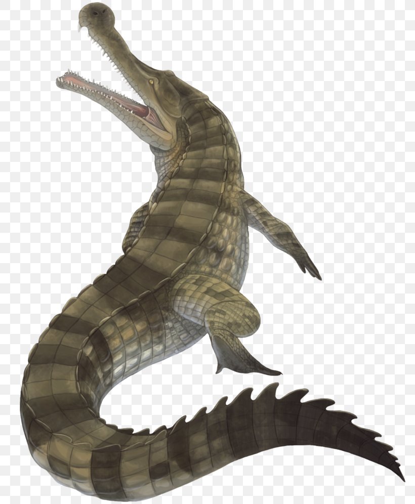 Crocodile Sarcosuchus Deinosuchus Kaprosuchus Spinosaurus, PNG, 803x996px, Crocodile, Alligator, Cretaceous, Crocodilia, Crocodyliformes Download Free