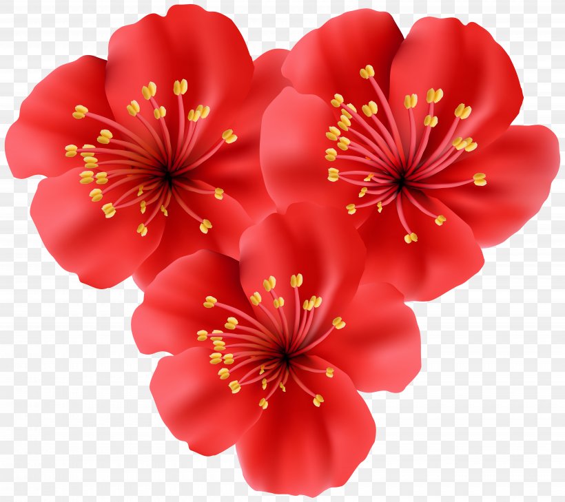 Flower Tropics Gerber Format Clip Art, PNG, 7000x6230px, Flower, Annual Plant, Blossom, Cherry Blossom, Color Download Free
