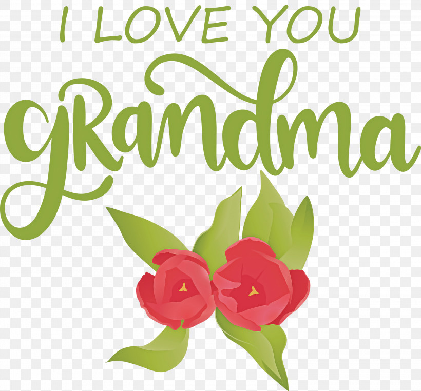 Grandmothers Day Grandma, PNG, 3000x2791px, Grandmothers Day, Biology, Cut Flowers, Floral Design, Flower Download Free