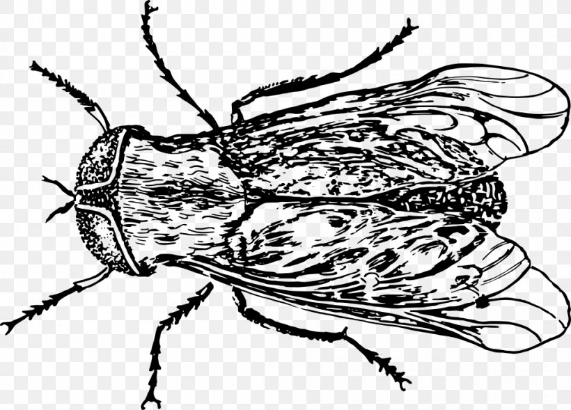 Insect Horse-fly Bee Housefly, PNG, 1000x719px, Insect, Art, Arthropod, Artwork, Bee Download Free