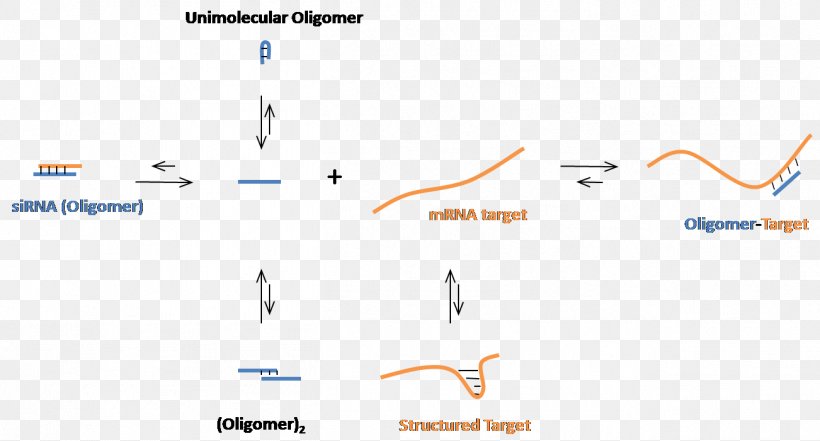 Small Interfering RNA Oligonucleotide Messenger RNA Nucleic Acid Sequence, PNG, 1302x701px, Small Interfering Rna, Antisense Rna, Antisense Therapy, Area, Base Pair Download Free
