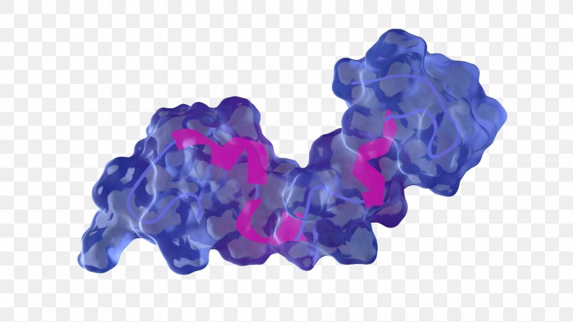 Tau Protein Purple Blue, PNG, 1920x1080px, Tau Protein, Black, Blue, Brain, Color Download Free