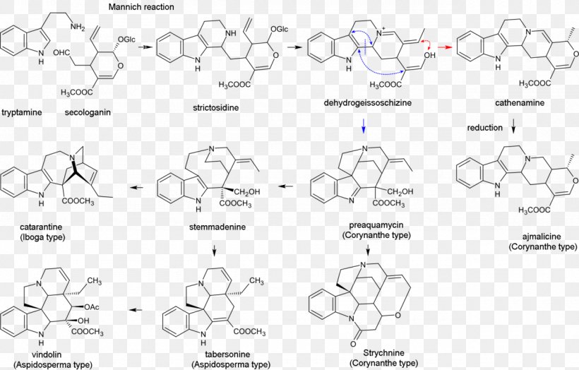 Indole Alkaloid Biosynthesis Terpenoid, PNG, 1280x818px, Indole Alkaloid, Alkaloid, Area, Auto Part, Biosynthesis Download Free