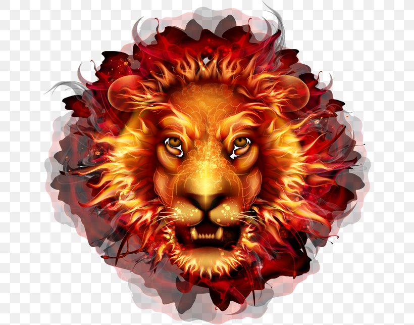 Lionhead Fire Flame, PNG, 650x643px, Watercolor, Cartoon, Flower, Frame, Heart Download Free