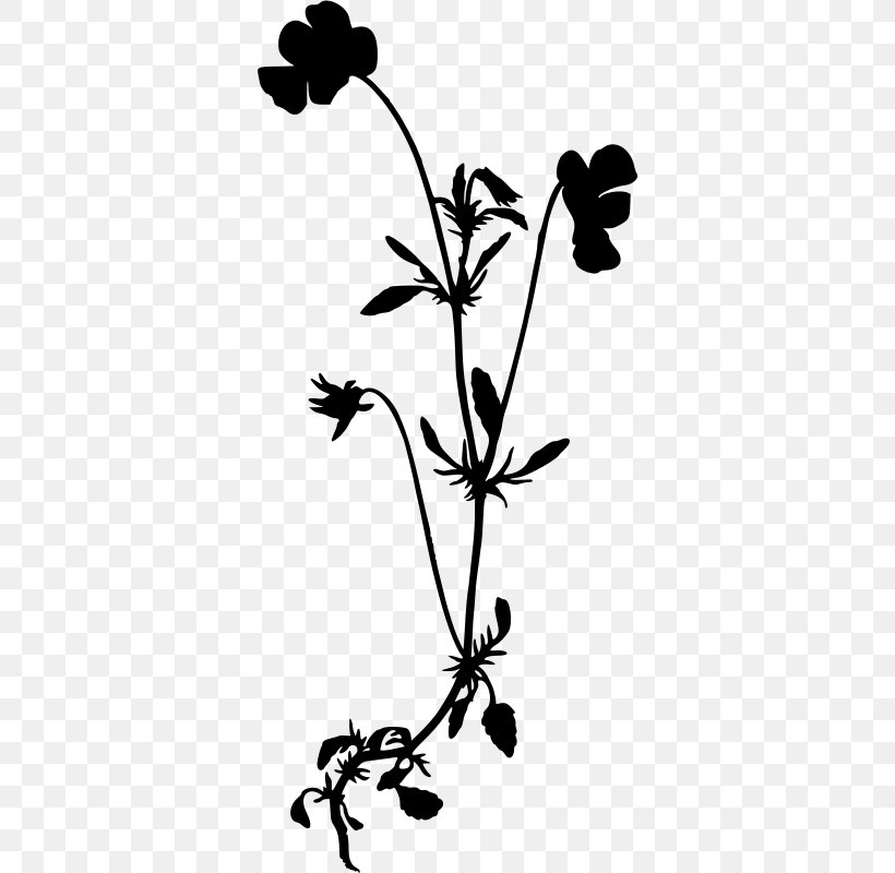 Wildflower Drawing Silhouette Clip Art, PNG, 348x800px, Wildflower, Artwork, Black And White, Branch, Chamomile Download Free