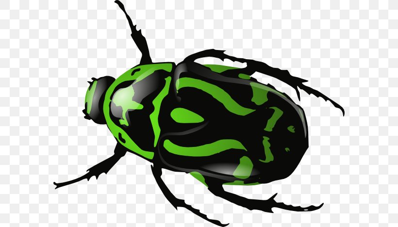 Beetle Download Clip Art, PNG, 600x468px, Beetle, Arthropod, Artwork, Dung Beetle, Fly Download Free