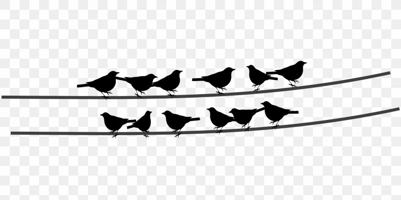 Bird Wire Clip Art, PNG, 1920x960px, Bird, Barbed Wire, Beak, Black And White, Electrical Cable Download Free