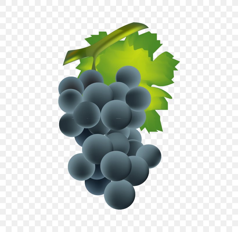 Common Grape Vine Wine Euclidean Vector, PNG, 800x800px, Common Grape Vine, Barrel, Drawing, Flowering Plant, Food Download Free