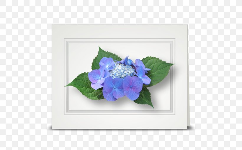 Hydrangea Cut Flowers Violet Floristry, PNG, 510x510px, Hydrangea, Blue, Cornales, Cut Flowers, Flora Download Free