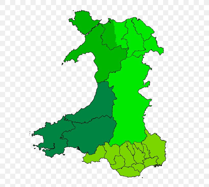 National Assembly For Wales Election, 2003 Map Electoral District, PNG, 605x732px, Wales, Area, Electoral District, Grass, Green Download Free