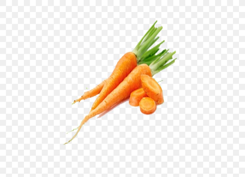 Baby Carrot Vegetable Vegetarian Cuisine, PNG, 591x591px, Carrot, Baby Carrot, Carrot Creative, Daucus, Daucus Carota Download Free