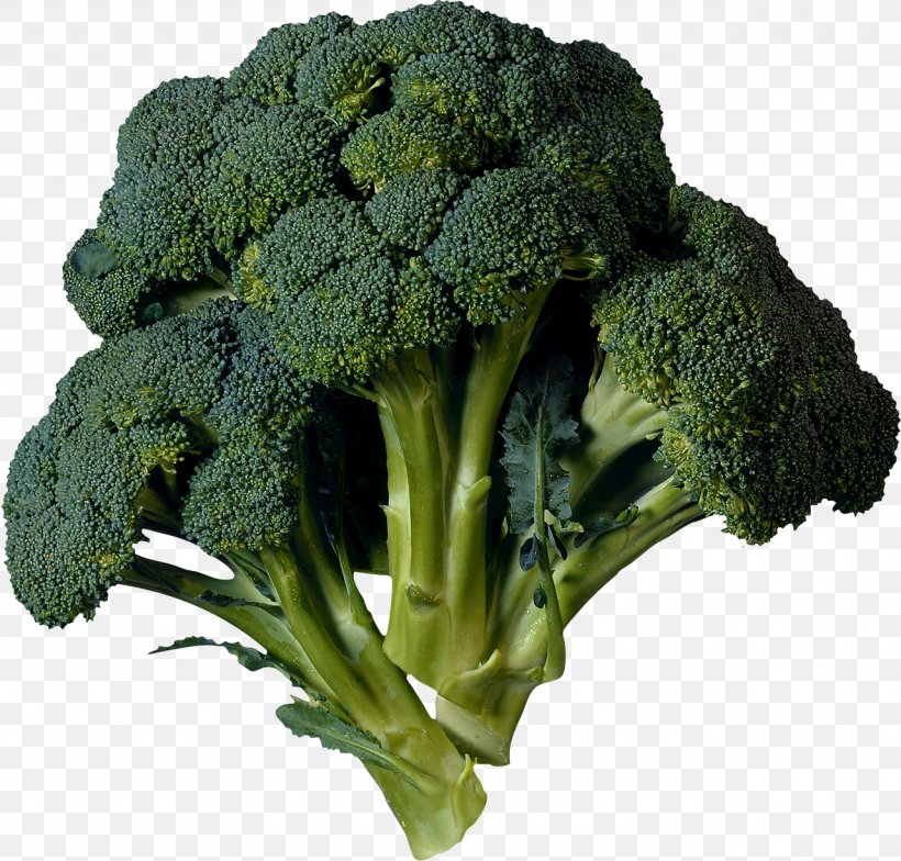 Broccoli Cabbage Kohlrabi Vegetable Cauliflower, PNG, 1281x1226px, Broccoli, Brassica Oleracea, Broccoli Slaw, Broccoli Sprouts, Cabbage Download Free