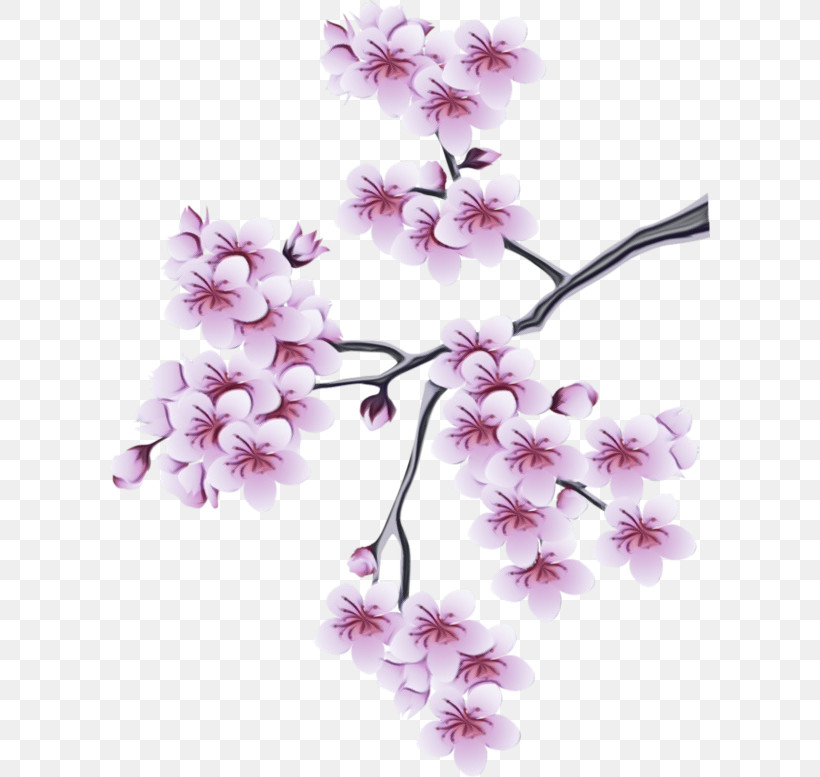 Cherry Blossom, PNG, 600x777px, Watercolor, Blossom, Branch, Cherry Blossom, Flower Download Free