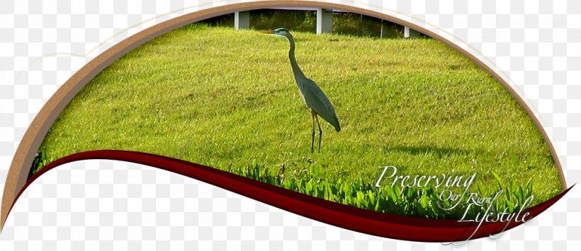Davie Fort Lauderdale Miami Metropolitan Area Everglades Ocean City Development Corporation, PNG, 1007x437px, Davie, Broward County, City, Everglades, Florida Download Free